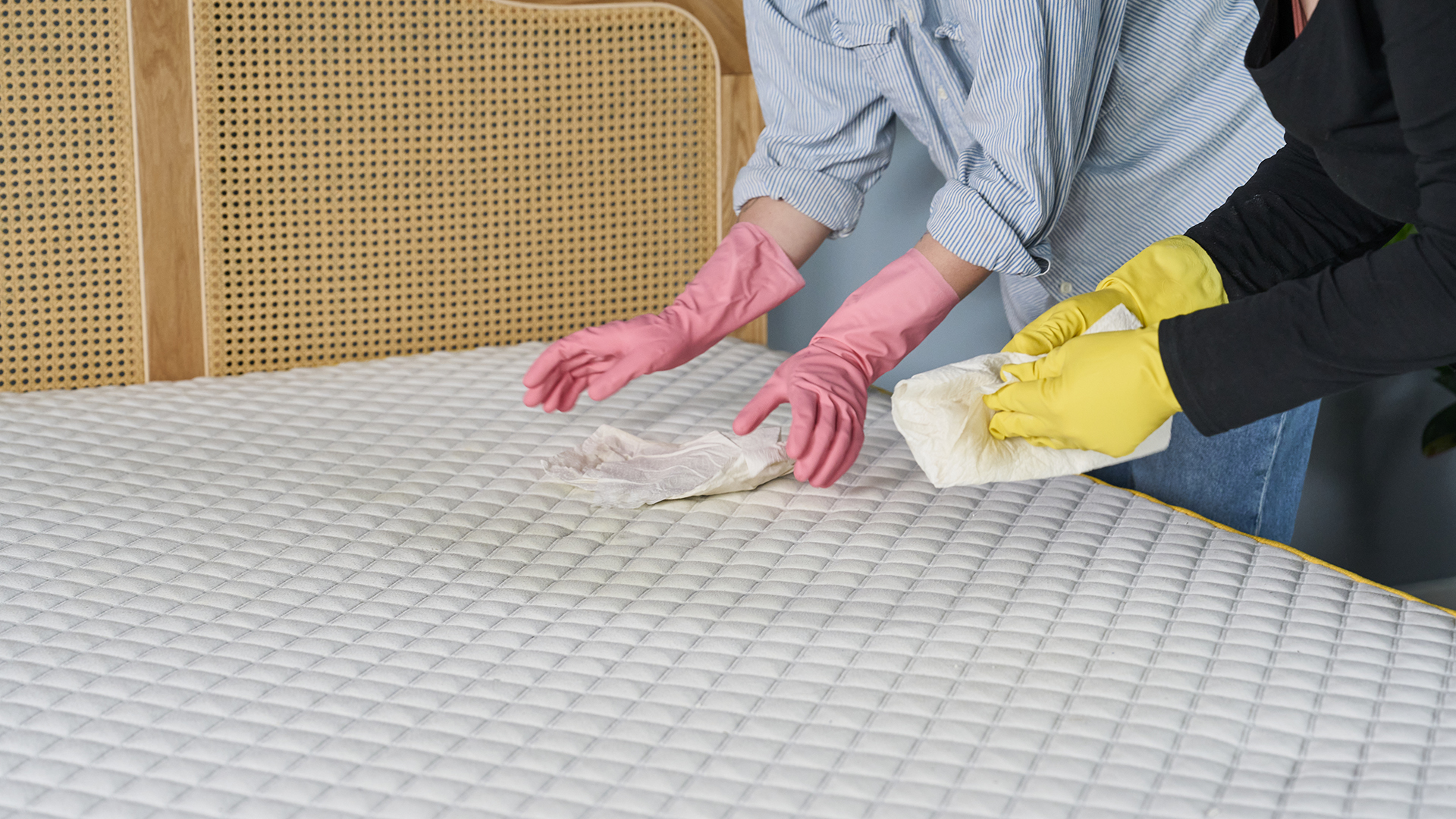 Two women using kitchen towels to blot a mattress stain