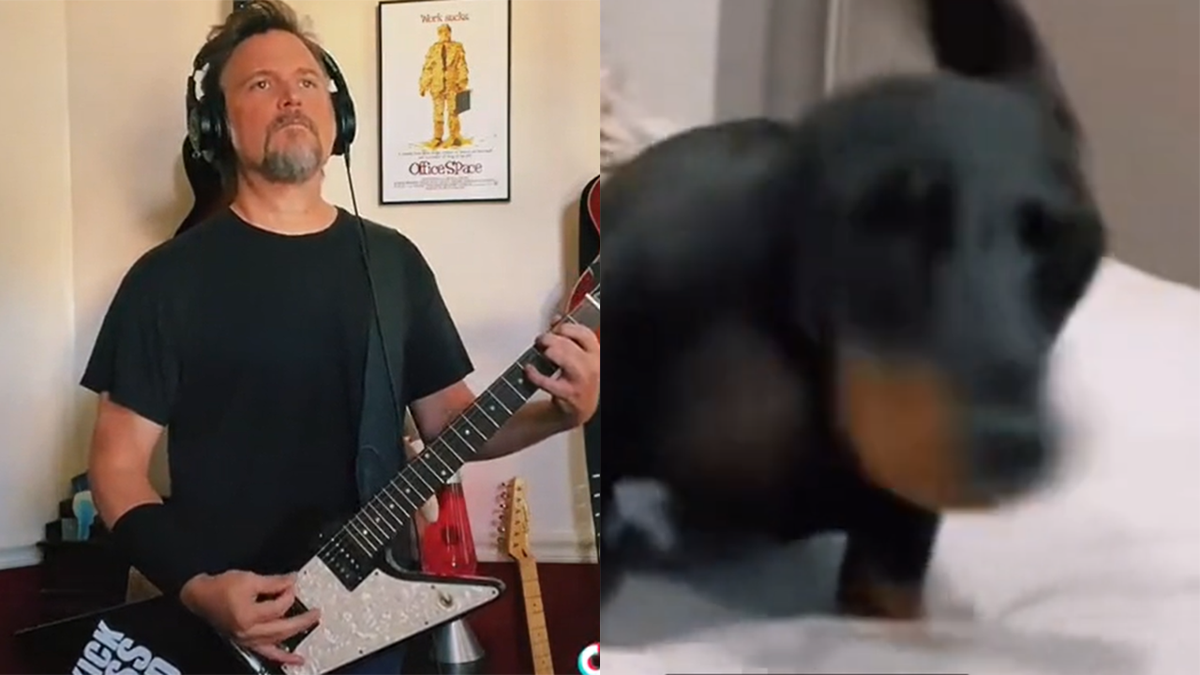 Griz guitarist and dog on TikTok