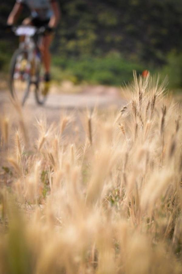A rider on stage 2