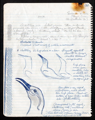 bird journal