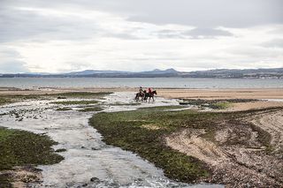 Equine Journeys: The British Horse World by Hossein Amirsadeghi