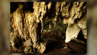 One of the caves where bones of the species Homo floresiensis were found
