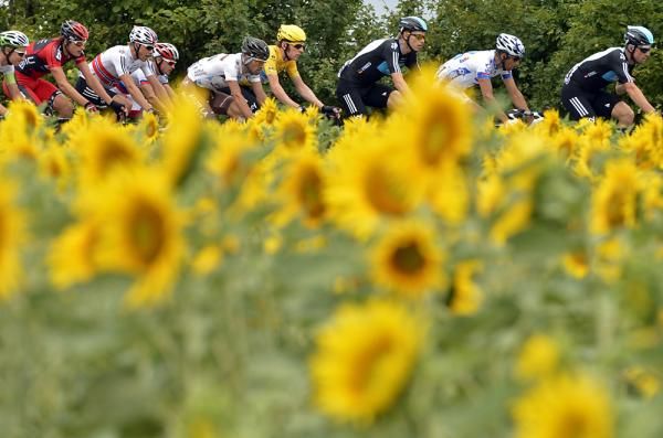 The sunflowers were out in full force on stage 18