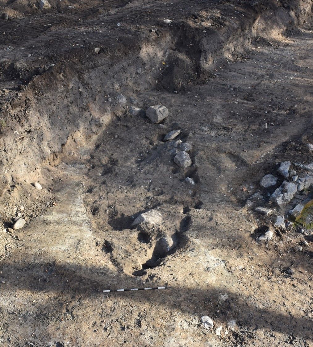 Recent excavations of viking boat burials reveal the remains of a man, a horse and a dog.