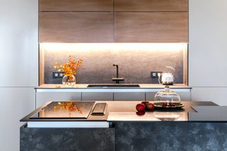 Contemporary kitchen design showing how to organize a kitchen