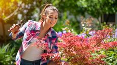 young woman pruning a Japanese maple
