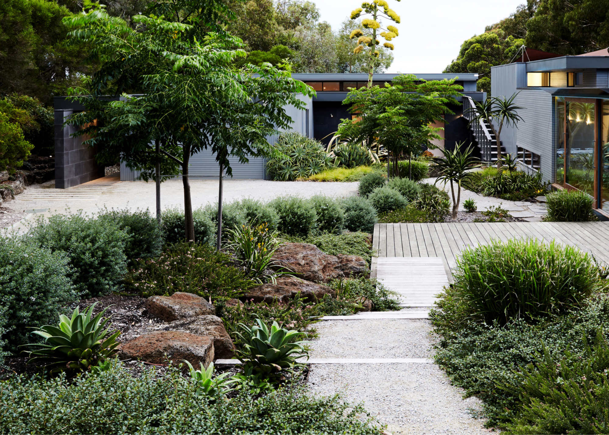 A front yard path marked out with rocks and trees spread all over as well as plants