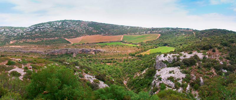 Languedoc-Roussillon