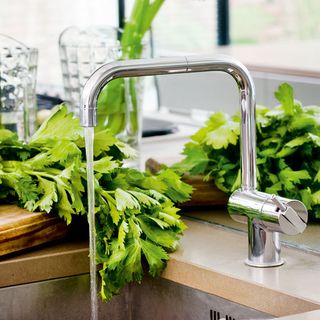 kitchen with kitchen sink steel tap and green vegetable
