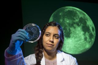 Sonia Tikoo, co-author of a new study explaining lunar swirls and researcher at Rutgers University's Department of Earth and Planetary Sciences, looks at moon rock samples in a petri dish.