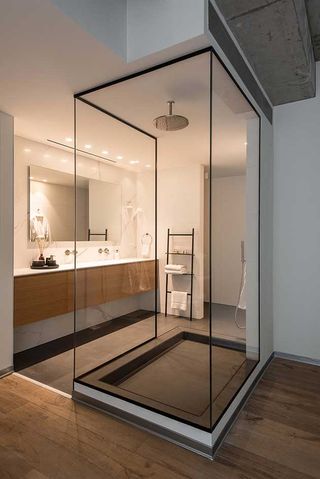 Complete glass walled shower, full length bathroom counter with large mirror