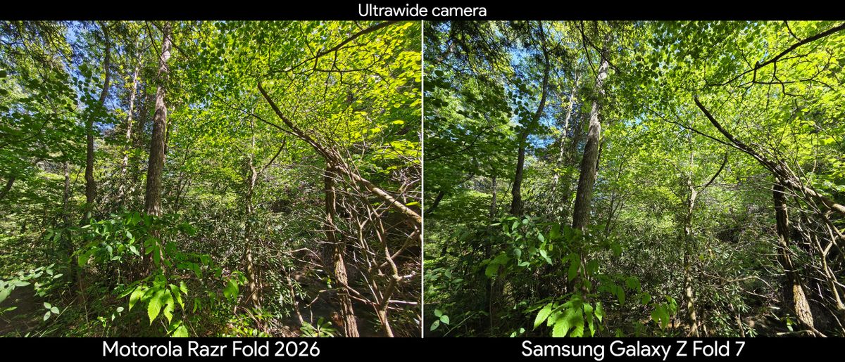Comparing camera quality between the Motorola Razr Fold 2026 and Samsung Galaxy Z Fold 7