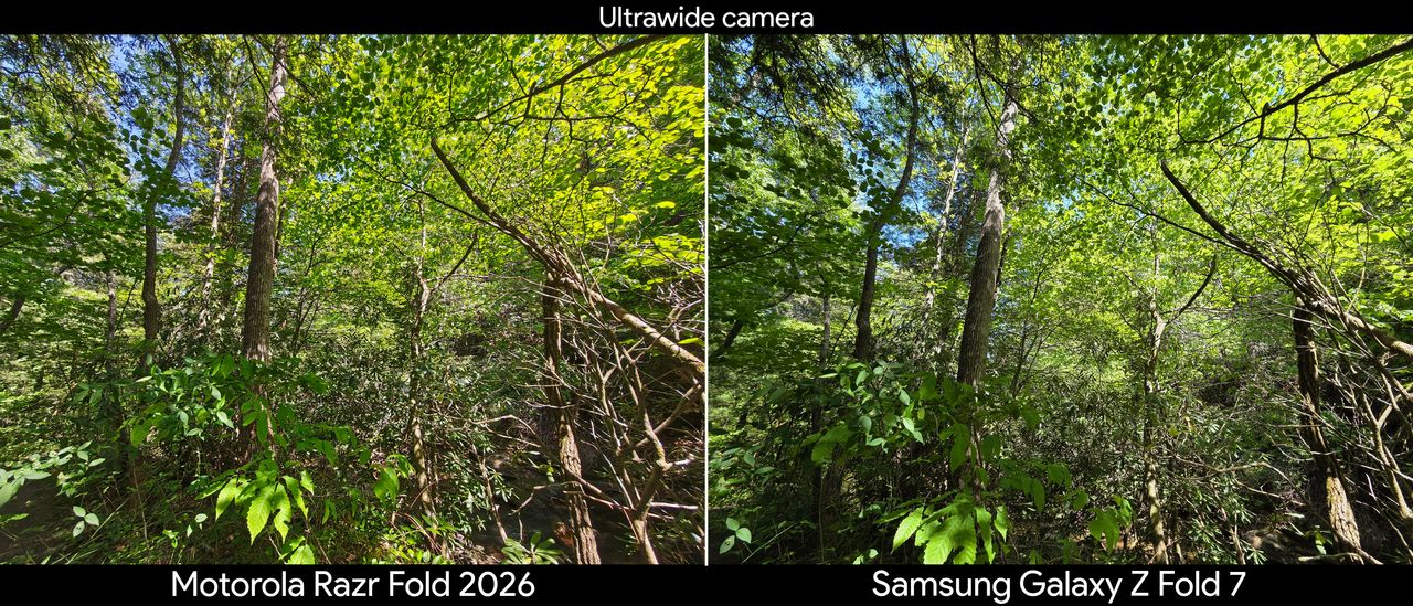 Comparing camera quality between the Motorola Razr Fold 2026 and Samsung Galaxy Z Fold 7