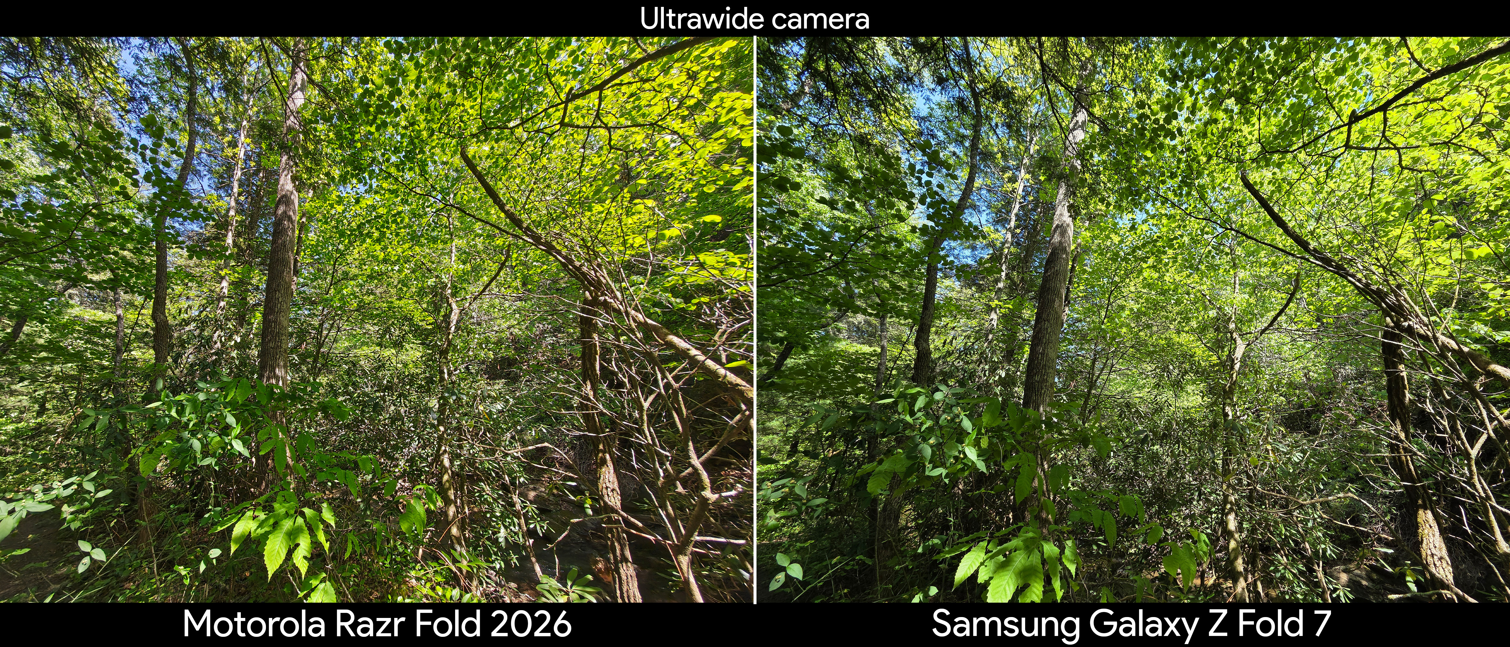 Comparing camera quality between the Motorola Razr Fold 2026 and Samsung Galaxy Z Fold 7