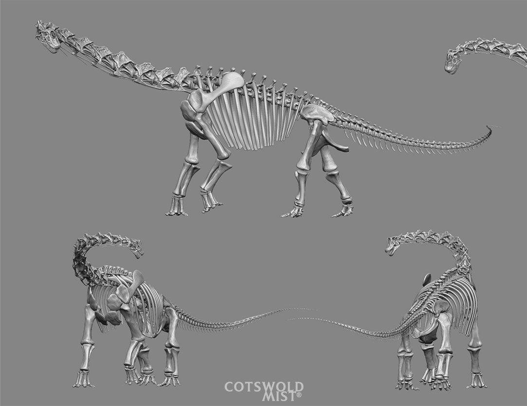 Cotswold Mist; 3D models of a dinosaur skeleton