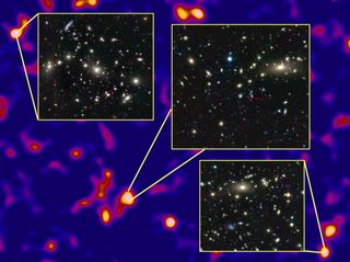 The densest regions of the dark matter cosmic web host massive clusters of galaxies.