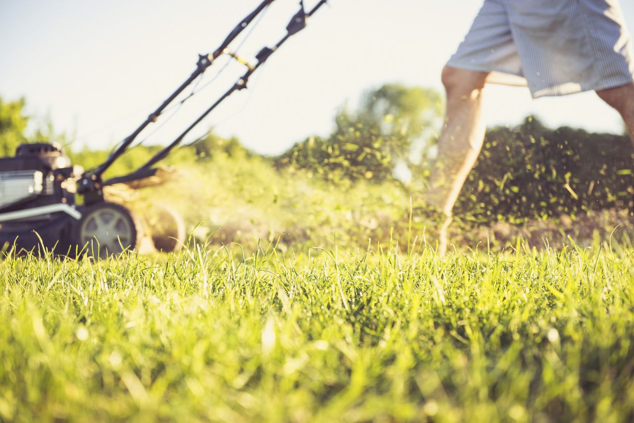 lawn mower sale: close up of man mowing a lawn