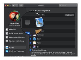 Revoke iCloud access on Mac: Uncheck Apps