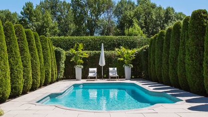 swimming pool with hedges and loungers