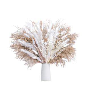A bouquet of pampas grass in a white vase