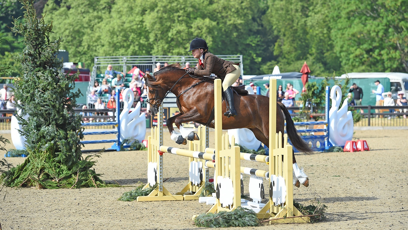 Royal Windsor M&amp;M working hunter pony champion.