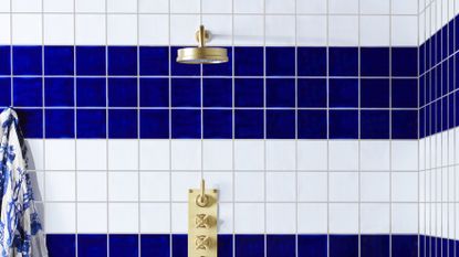 Dark blue and white striped small bathroom shower