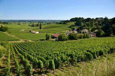 St-Etienne de Lisse, home of Puy-Blanquet