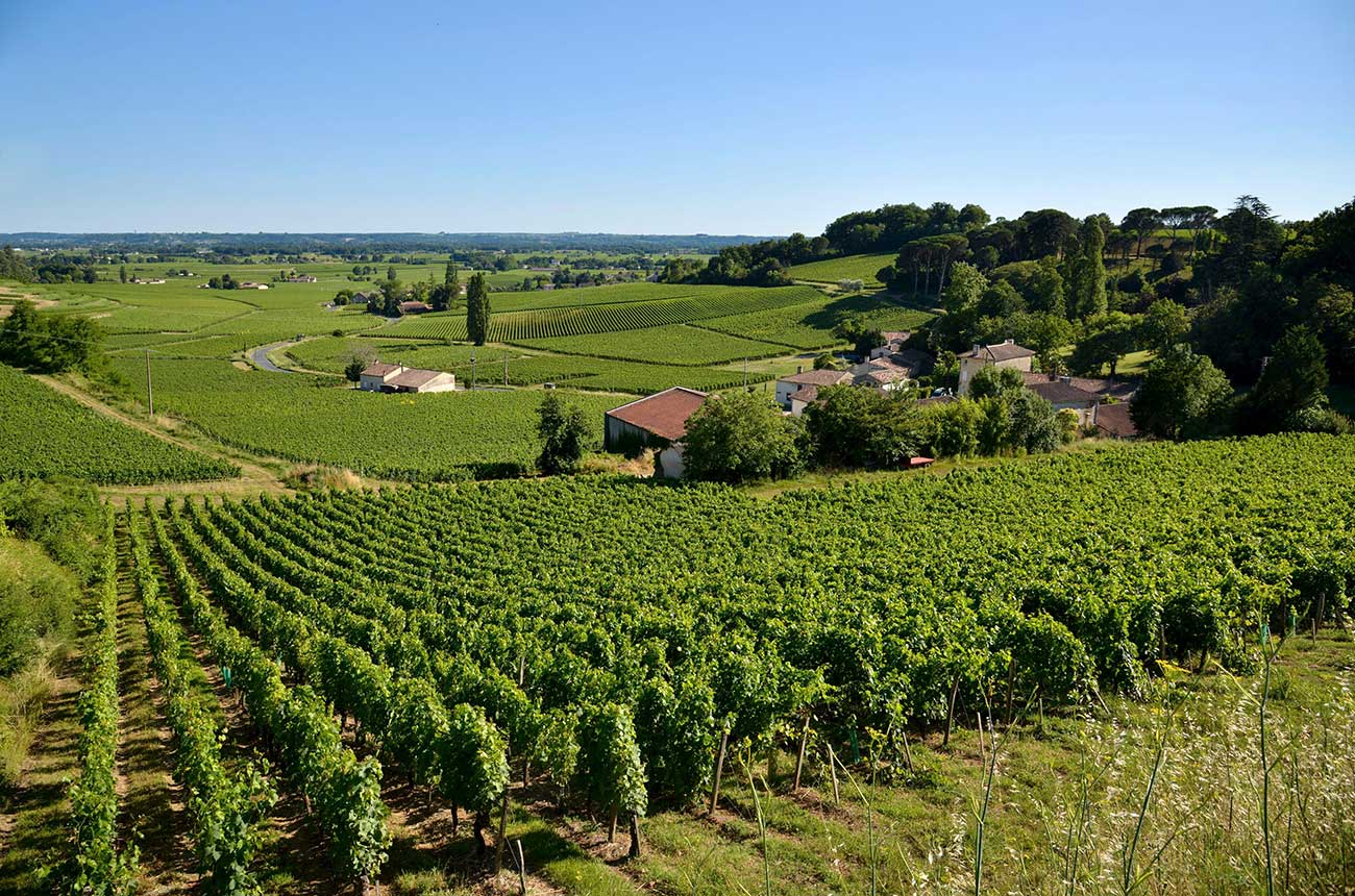 St-Etienne de Lisse, home of Puy-Blanquet
