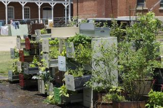 The zombie apocalypse survivors in AMC's "The Walking Dead" built an herb garden out of filing cabinets.