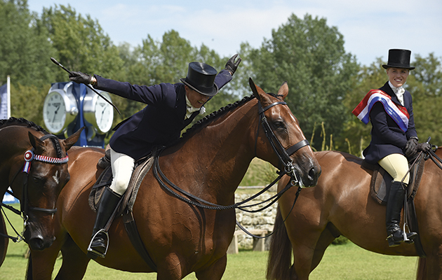 TIME 2 REFLECT owned by MRS D STENNETT an exhibited by JAYNE ROSS; Winner of The British Horse Society Supreme Ridden Horse Championship at The Longines Royal International Horse Show, at The All England Jumping Course, Hickstead, West Sussex, UK 02 August 2015