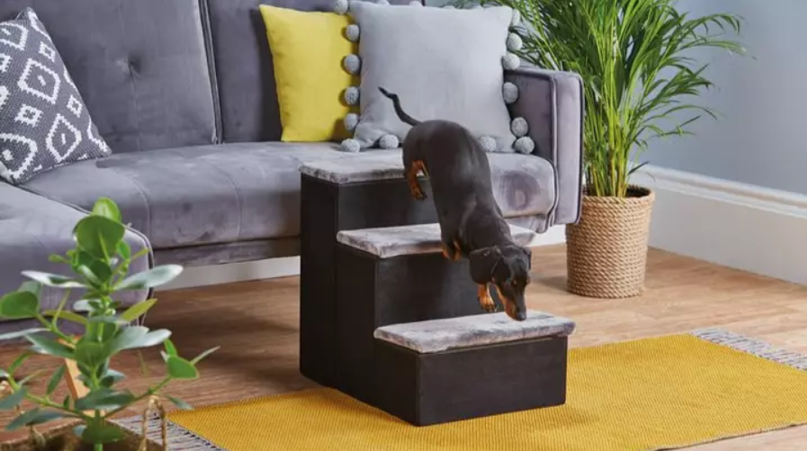 Aldi is selling genius pet stairs to help your dog climb on the sofa