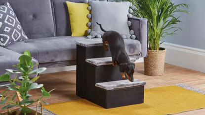 Aldi pet stairs