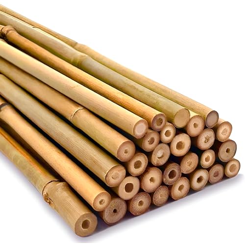 Strong Heavy Duty Professional Bamboo Canes for Plant Support - Multiple Lengths 2ft - 8ft Garden Stakes, Durable Large Garden Canes Strong & Natural Bamboo Sticks for Plant Sizes (3ft, 10, 10-12mm)