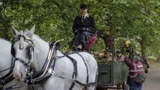 Shire horses collect floral tributes left in honour of The Queen in Green Park and Hyde Park