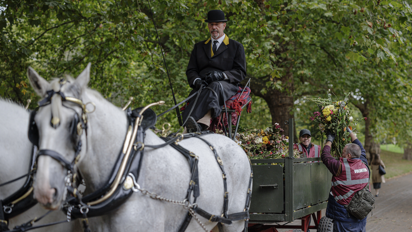 Shire horses collect floral tributes left in honour of The Queen in Green Park and Hyde Park