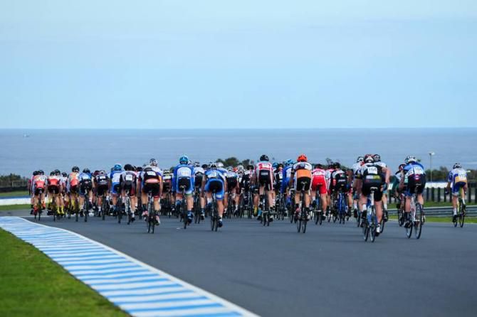 Riders head down the front straight of the Phillip Island GP circuit