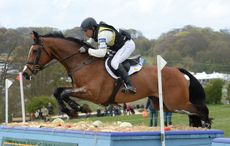 WEG withdrawals Sam Griffiths