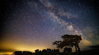 Silhouette of trees and rocks against night sky backdrop