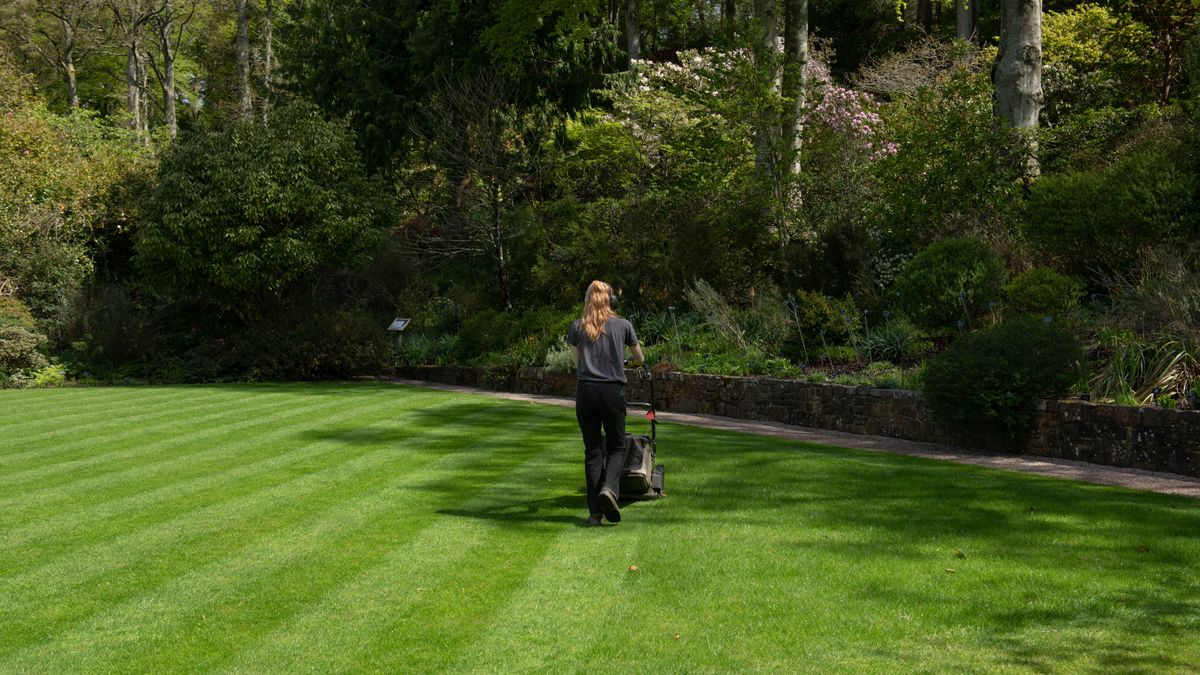 How To Stripe Your Lawn And Make It Look Bigger | Tom's Guide