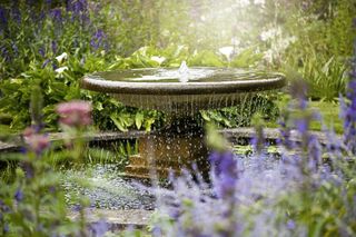 water feature in a garden