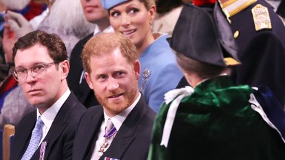 Prince Harry and Princess Anne at the Coronation