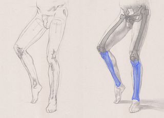 how to draw legs - leg sketches 