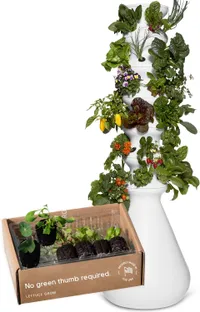 Lettuce Grow Farmstand Starter Kit