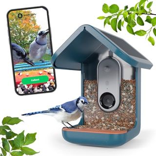 Bird Buddy® Original Smart Bird Feeder With Camera Solar Powered. High Resolution Ai Camera for Beautiful Close-Up Shots and a Unique Bird Watching Experience