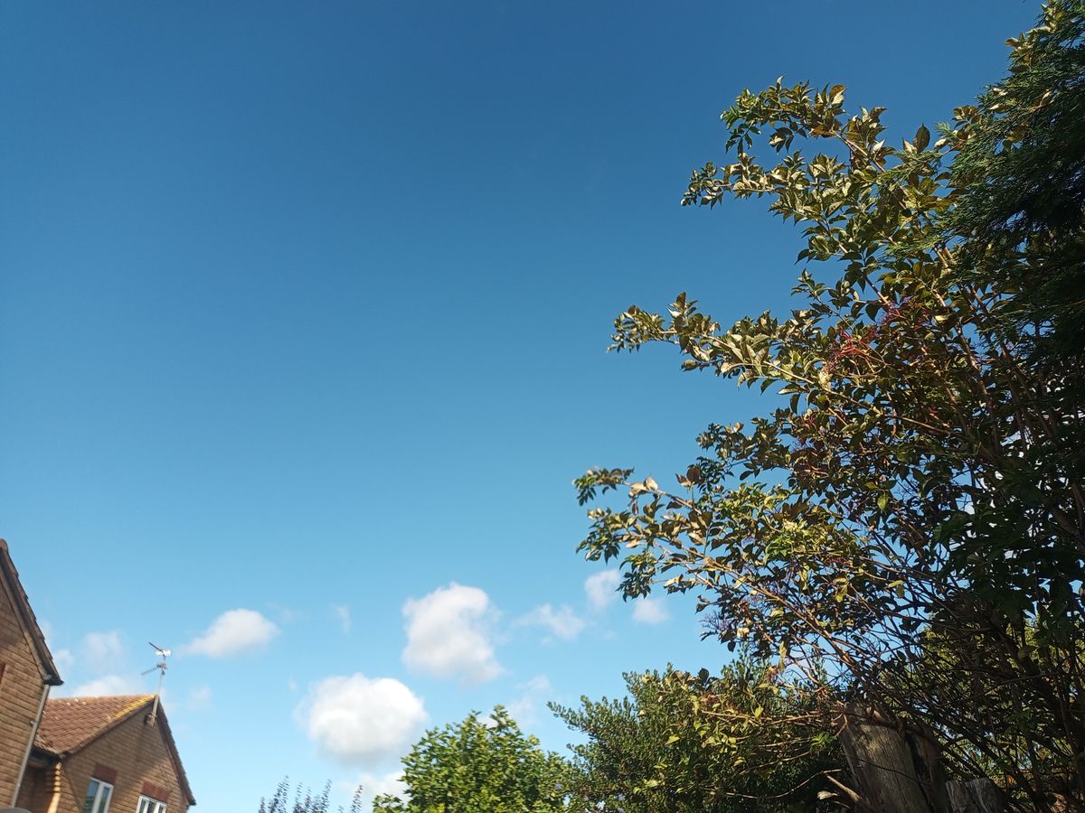 Photos taken with the AGM H5 Pro