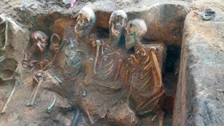 A close up of skeletons packed closely together in a seated position.