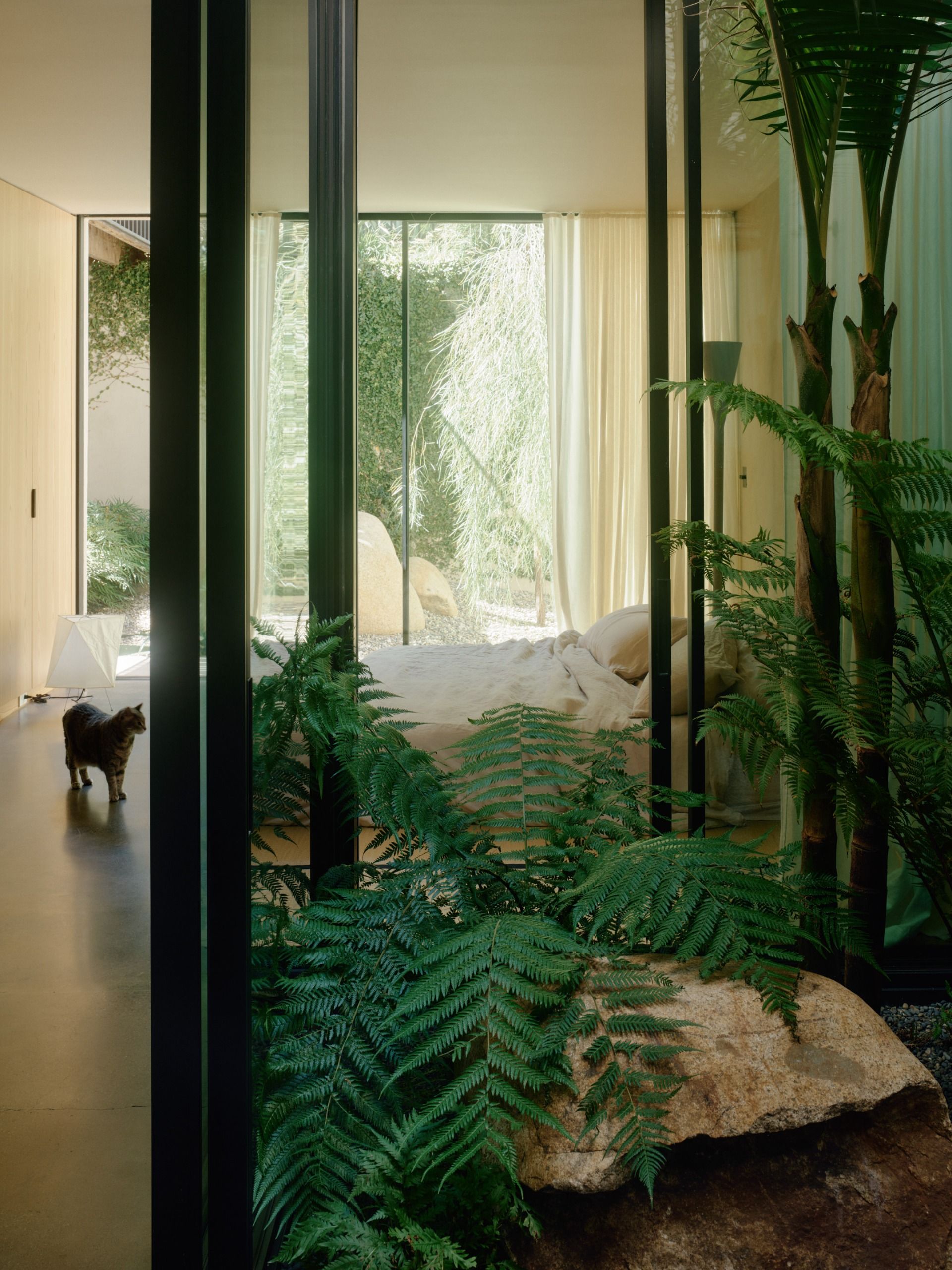 Precita House, San Francisco, a warm, natural-feeling home using timber and neutral colours