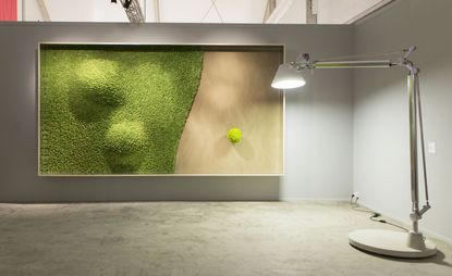 Installation view of 'Green Dunes' green vegetal wall