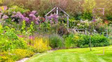 English country garden with colourful blooming flower beds with wooden fence and pergola to support plant propagation tips