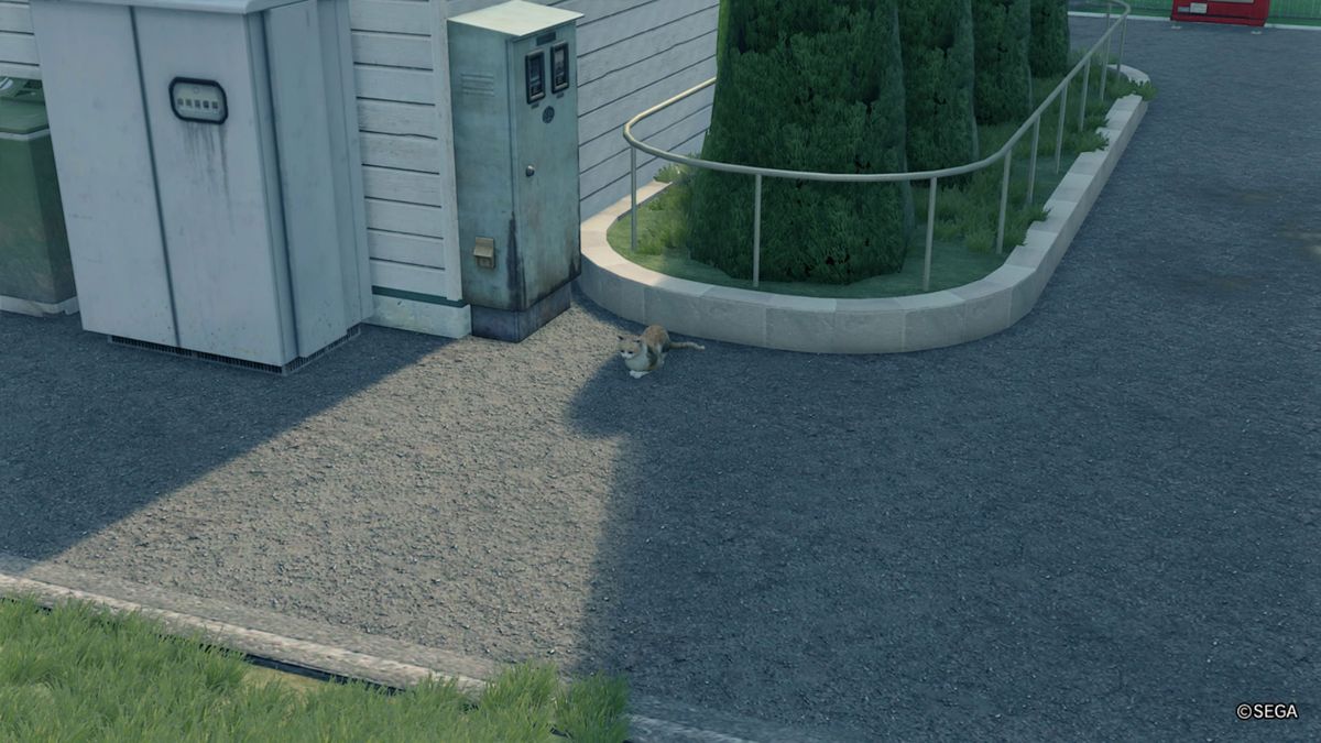 How to find all the Yakuza Like a Dragon missing cats GamesRadar+